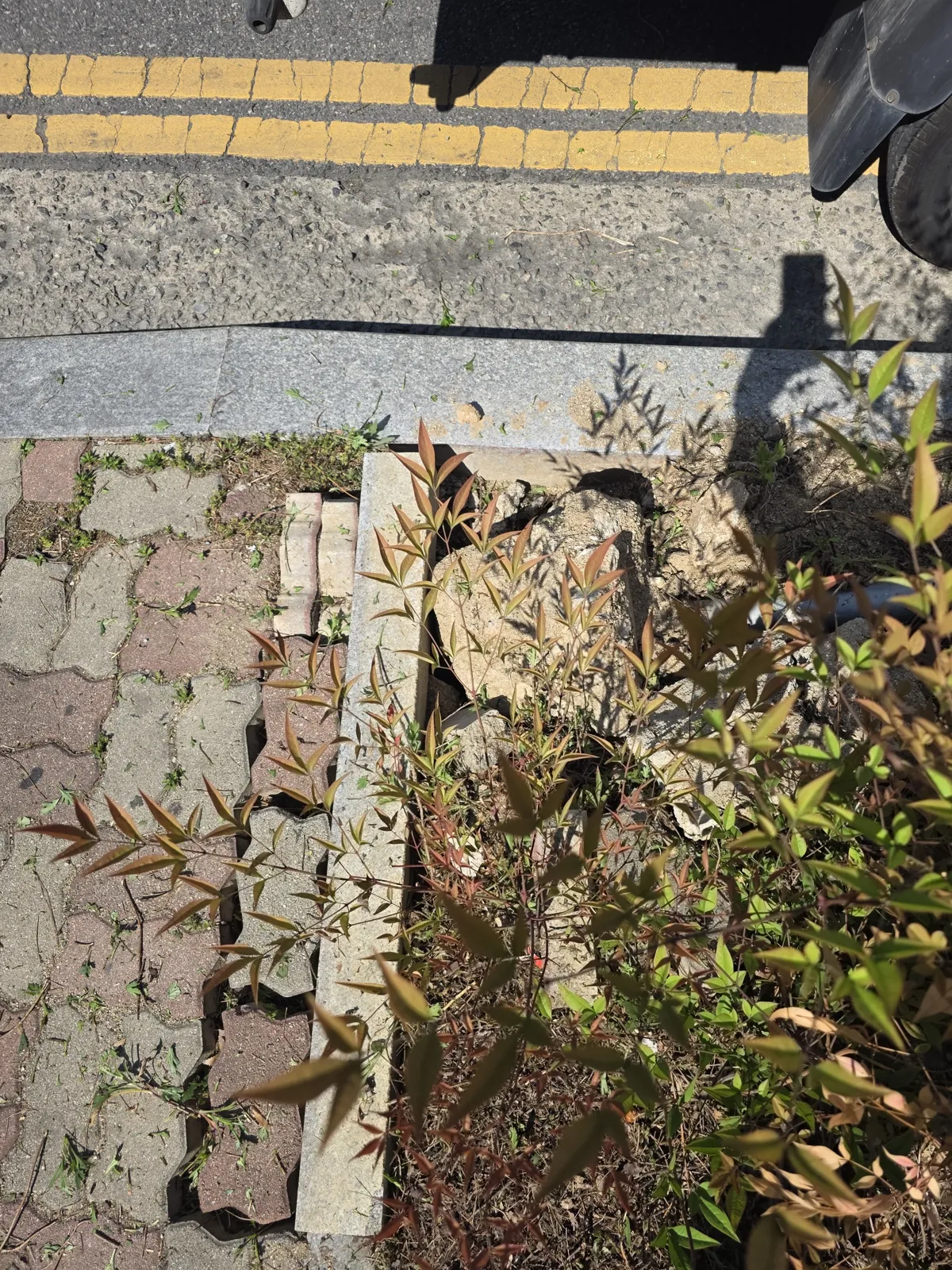 동대문 화강석 경계석에 발생한 파손과 틈새